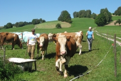 Austreiben, Lebenshilfe Sept. 11 030